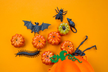 plastic pumpkin and black toy fall out of the bag on an orange background