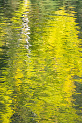 Reflection in water of fall color, abstract background in green
