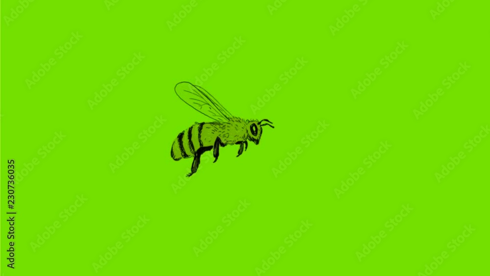Poster 2d animation motion graphics showing a drawing of a bee, bumblebee or honeybee flying from side to s