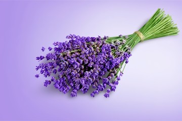 Bouquet of lavender flowers on white background