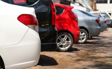 Closeup of rear side of white car and other cars park in outdoor parking area under the big tree in sunny day. 