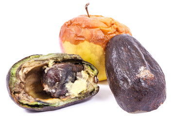 Old moldy apple and avocado on white background, unhealthy and disgusting fruit