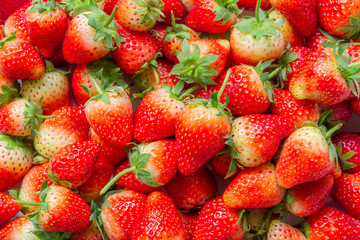 Strawberries fresh from the farm