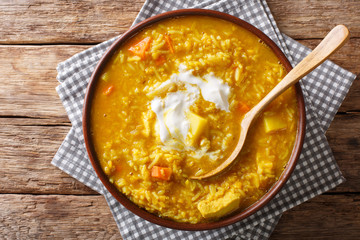 Delicious Tamil Mulligatawny soup with lentils, rice, chicken, vegetables and apple closeup in a bowl. Horizontal top view