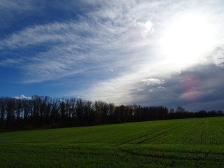 Aufziehendes Unwetter mit dunklen Wolken