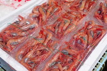 市場で売られる新鮮なえび