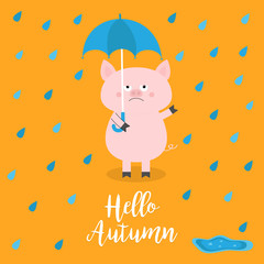 Hello autumn. Pig holding blue umbrella. Rain drops, puddle. Angry sad emotion. Hate fall. Cute funny cartoon baby character. Pet animal collection Orange background Isolated