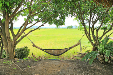 Bamboo wooden cradle under trees in garden.