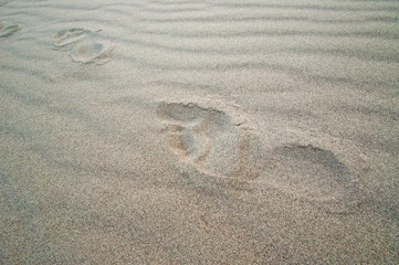 Fototapeta na wymiar Traces of female bare feet on clean sand