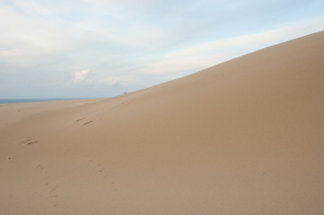 Fototapeta na wymiar Deserted sandy beach with clean fine sand at sunrise