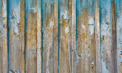 wooden fence with blue old paint