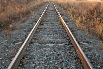 Fototapeta premium Railroad goes to horizon in sunset, around field and forest in autumn day