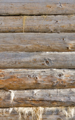 Shield with a large number of parallel wooden logs. Wooden wall from logs as a background texture / floor