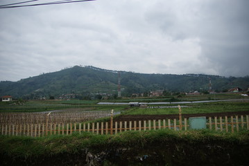 Scenic view seen inside van from Bandung to Tangkuban Perahu