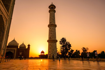 Fototapeta premium Sunrise Taj Mahal