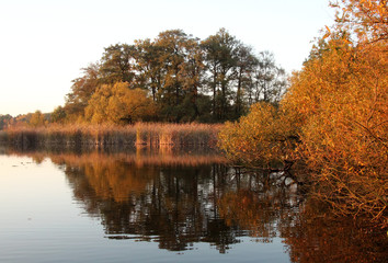 autumn landscape with lake and trees