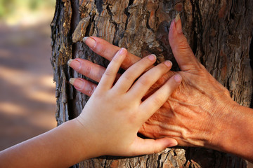 image of old woman and a kid holding hands together through a walk in the forest.