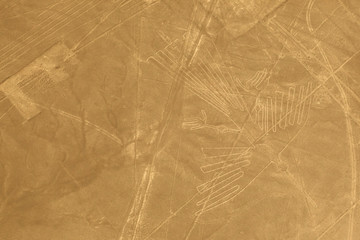 The condor is one of the largest animal geoglyphs on the ground in the Nazca desert, measuring...