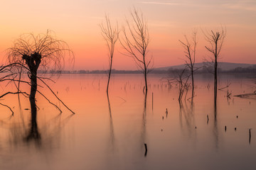 Obraz na płótnie Canvas Beautiful sunset at Trasimeno lake (Umbria), with perfectly still water, skeletal trees and beautiful warm colors