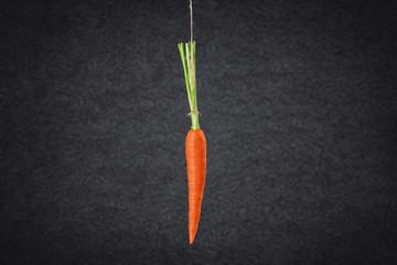 Carrot.