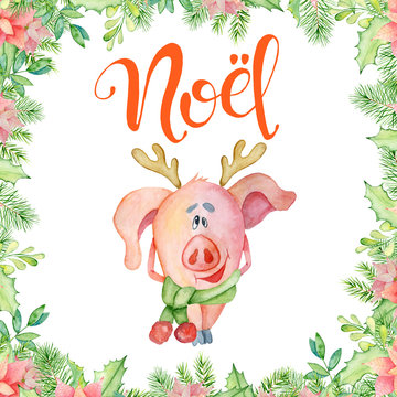 Merry Christmas watercolor card with cute funny pig with scarfc and horns. lettering quote Noel