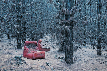 Abandoned red chair in the wintry pine forest