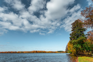 Creative background, nature, Autumn river forest. Golden autumn.