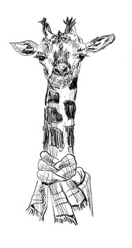 giraffe hand drawn illustration,art design