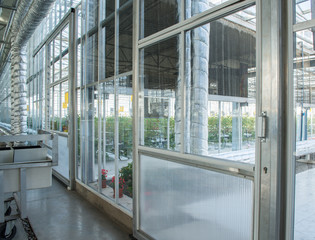 Fototapeta na wymiar close-up of a glass door in a modern greenhouse