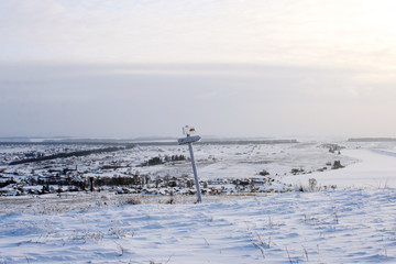 beautiful winter in the forest