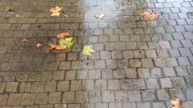 Lluvia de oto&ntilde;o sobre suelo de adoquines en la ciudad.