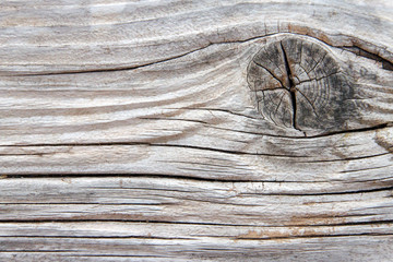 Old light brown wood detail with knot
