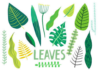 Vector collection of hand-drawn green leaves of different plants.