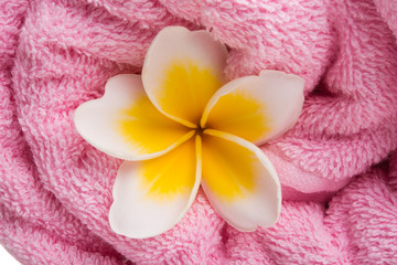frangipani flower with towel isolated