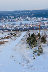 Obraz premium beautiful winter in the forest