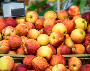 Pile of apples at the market with empty postcard for text. Apples in supermarket