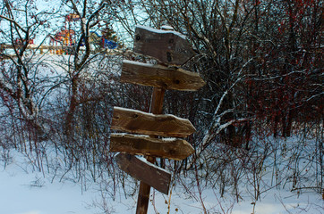 beautiful winter in the forest