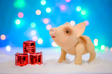 Cute pig and presents on a magical background