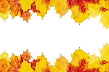 Autumn falling maple leaves frame isolated on white background