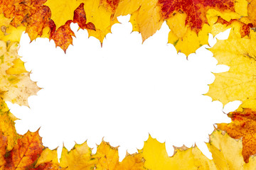 Autumn falling maple leaves frame isolated on white background