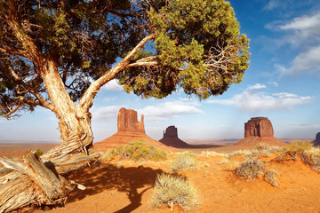 Ombre sur east mitten butte, Monument Valley, Arizona / Utah / Navajo, USA - 230759209