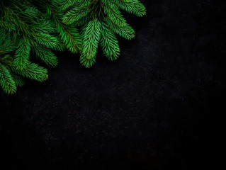 Christmas Tree Pine Branches on  black background. View from above. Copyspace