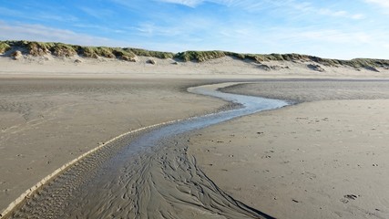 Dünenlandschaft am Nordseestrand in Zeeland, Niederlande