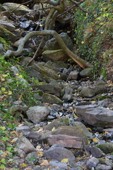 Suental im Harz, Sachsen - Anhalt