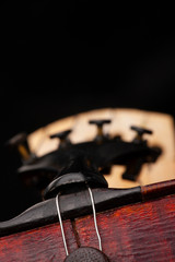 Violin close up isolated on black background