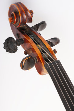 Violin close up isolated on white background