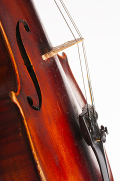 Violin close up isolated on white background