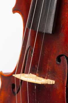 Violin close up isolated on white background