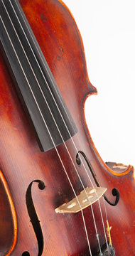 Violin close up isolated on white background