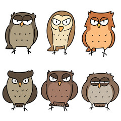 vector set of owls